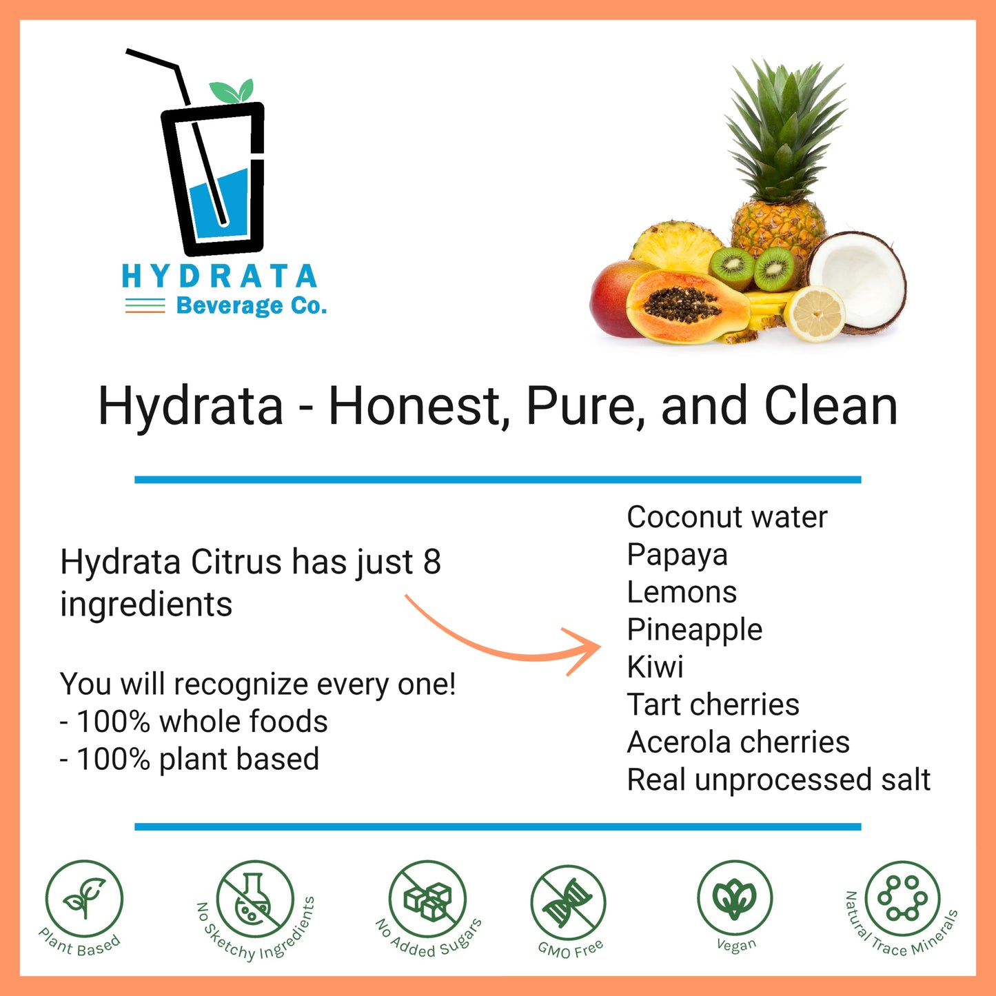 Hydrata Electrolyte Beverage Powder - Citrus Flavor