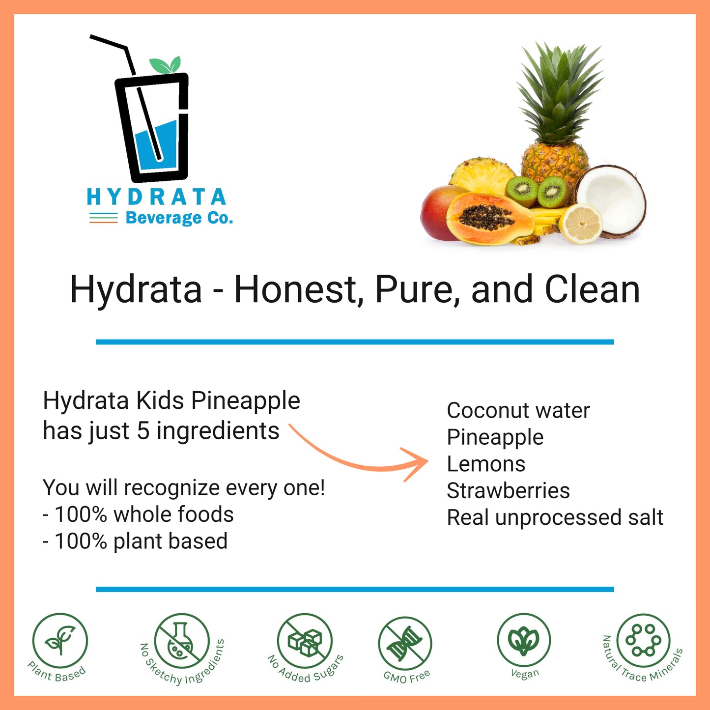 Hydrata Electrolyte Beverage Powder - Kids Pineapple Flavor